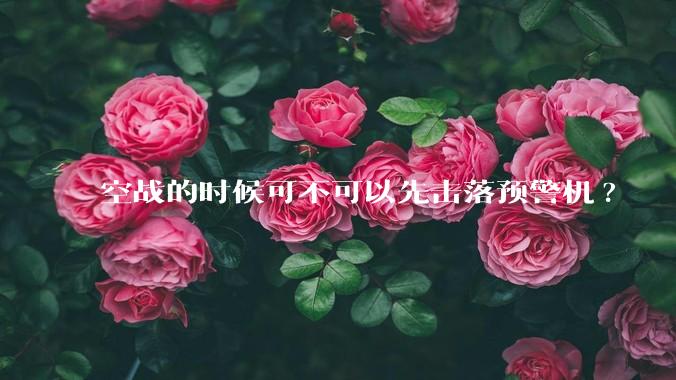 空战的时候可不可以先击落预警机?