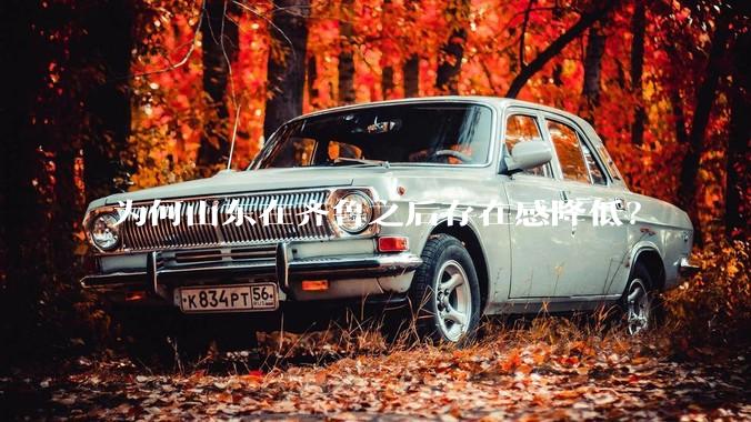 为何山东在齐鲁之后存在感降低？