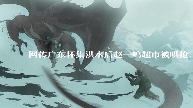 网传广东怀集洪水后赵一鸣超市被哄抢，县***回应相关单位正在核实，若属实哄抢者该承担哪些法律责任？