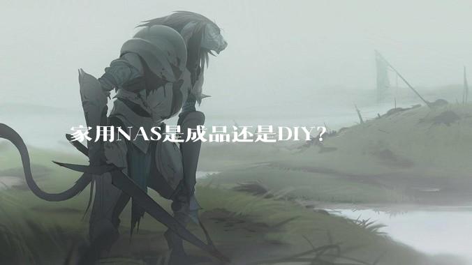 家用NAS是成品还是DIY？