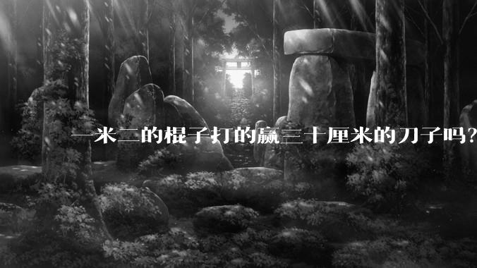 一米二的棍子打的赢三十厘米的刀子吗？
