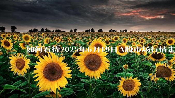 如何看待2025年6月19日A股市场行情走势？