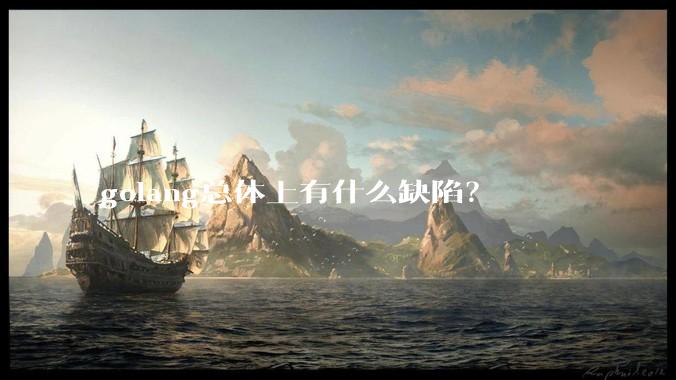 golang总体上有什么缺陷？