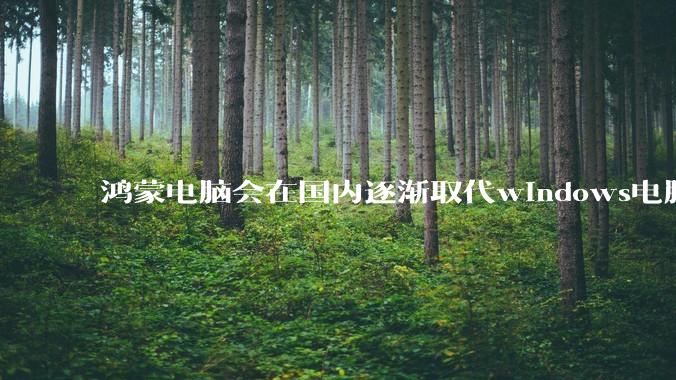 鸿蒙电脑会在国内逐渐取代windows电脑吗？