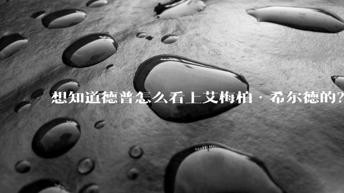 想知道德普怎么看上艾梅柏·希尔德的？