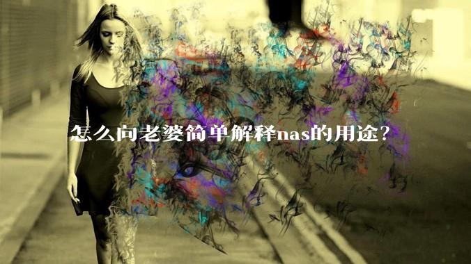 怎么向老婆简单解释nas的用途？
