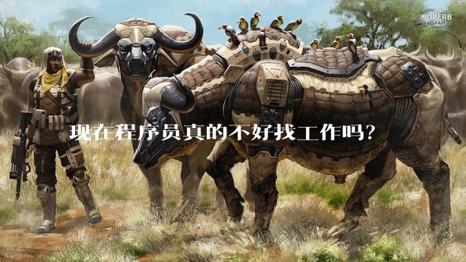 现在程序员真的不好找工作吗？
