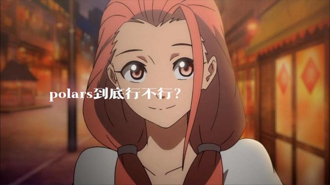 polars到底行不行？