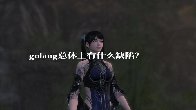 golang总体上有什么缺陷？