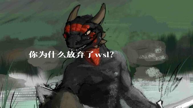 你为什么放弃了wsl？