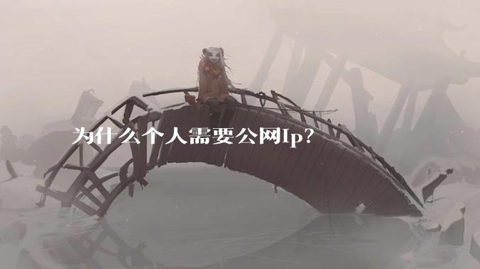 为什么个人需要公网ip？