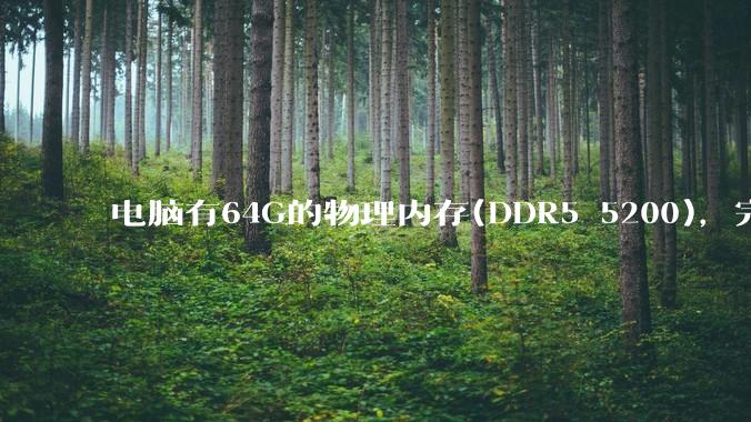 电脑有64G的物理内存(DDR5 5200)，完全够用了，可以关闭系统的虚拟内存吗？