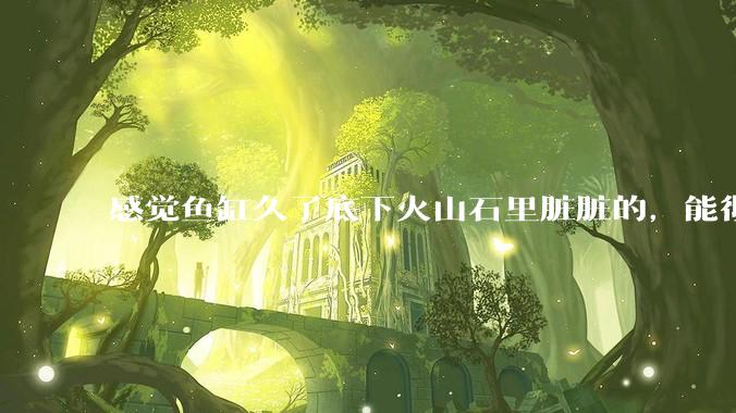 感觉鱼缸久了底下火山石里脏脏的，能彻底换水清理一遍不？