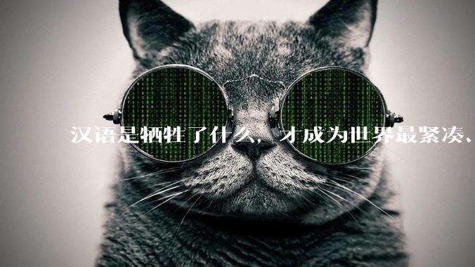 汉语是牺牲了什么，才成为世界最紧凑、最高效的语言？