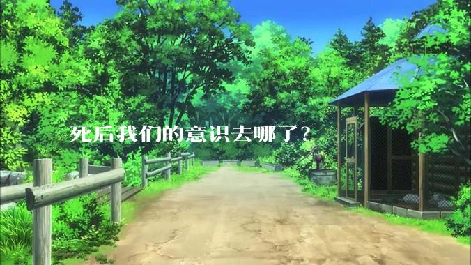 死后我们的意识去哪了？