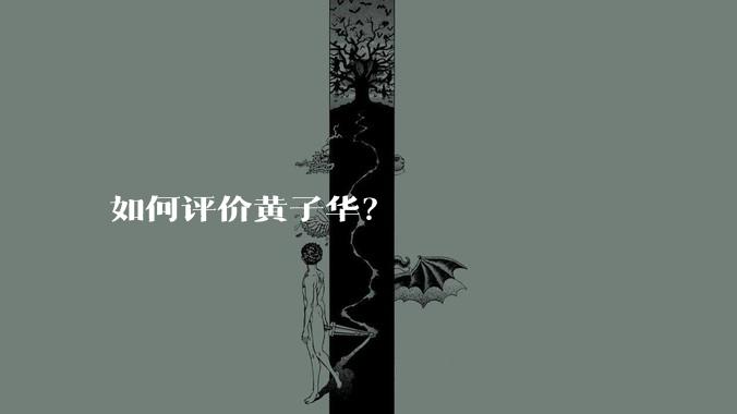 如何评价黄子华？