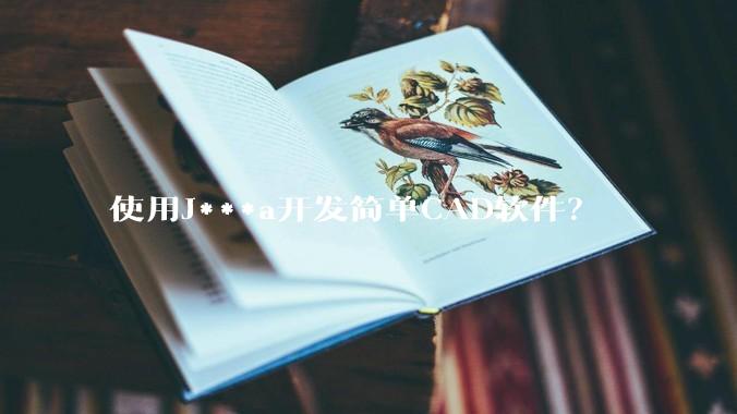 使用J***a开发简单CAD软件？