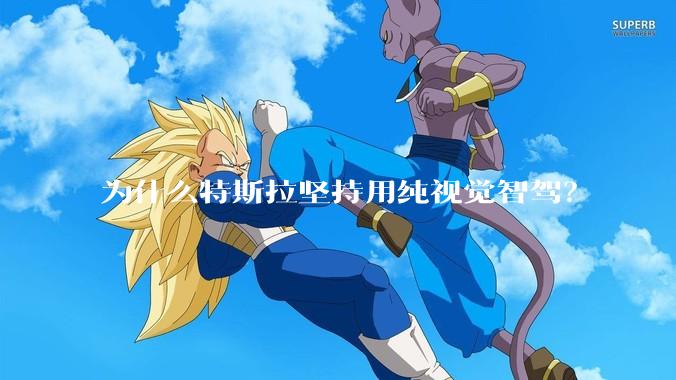 为什么特斯拉坚持用纯视觉智驾？