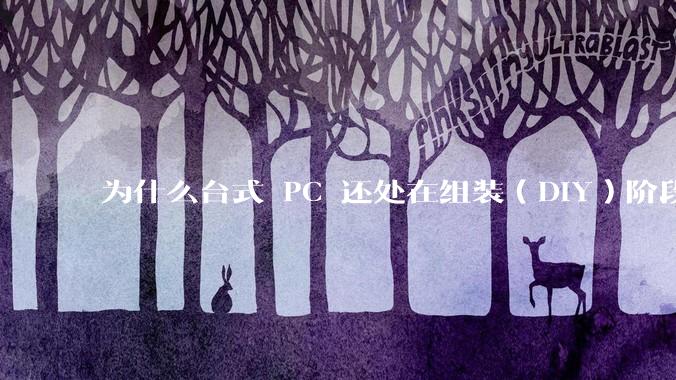 为什么台式 PC 还处在组装（DIY）阶段？