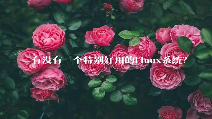 有没有一个特别好用的Linux系统？